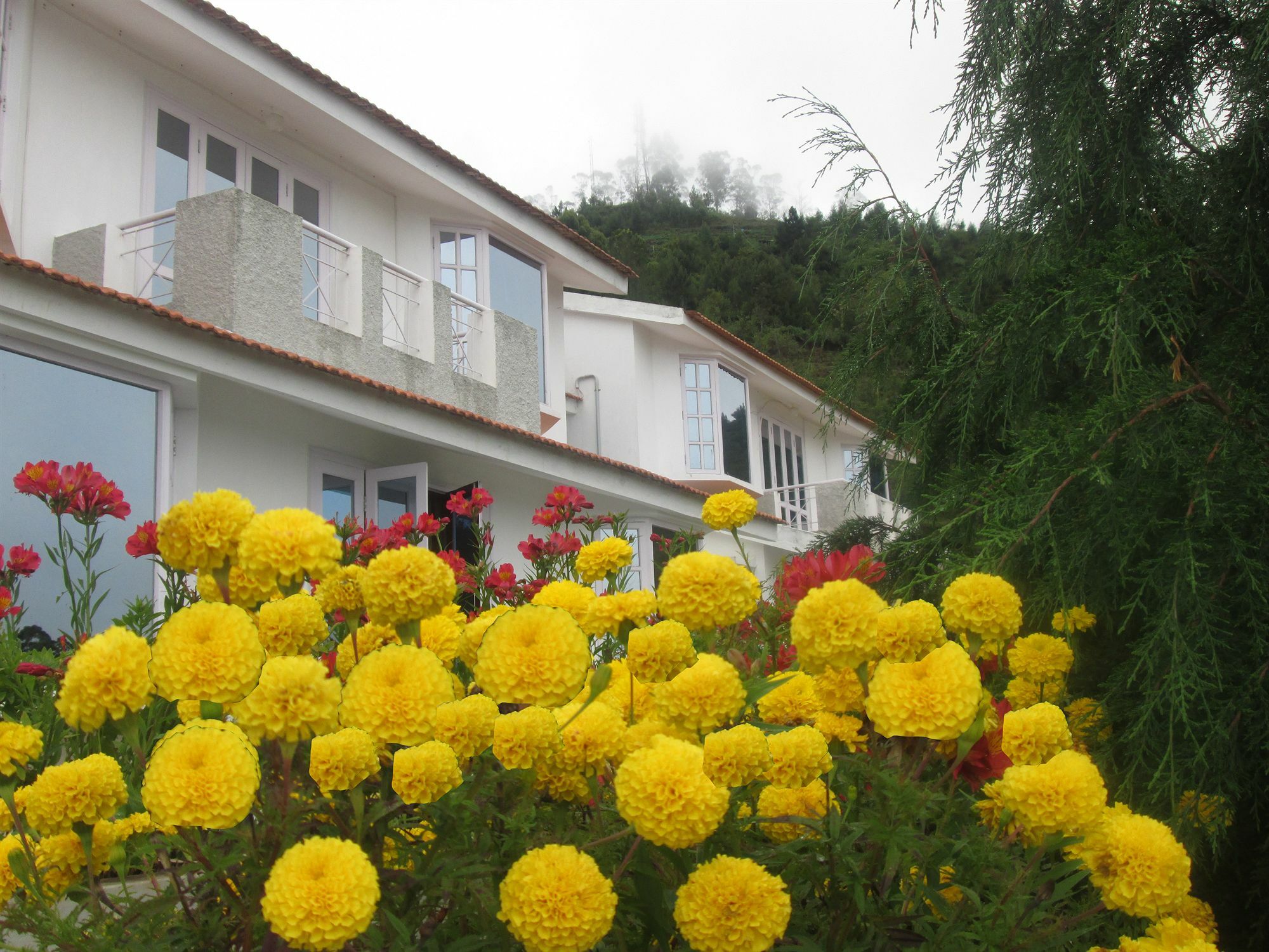 Country Club Valley Vista Tamilnadu - Tamilnadu - Kodaikanal Esterno foto